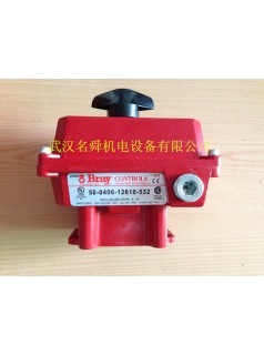 博雷Bray反饋開關(guān)50-0406-12610-532