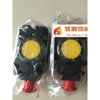 SIEMENS西門子燃?xì)鈮毫﹂_關(guān)QPL25.050  QPL25.150