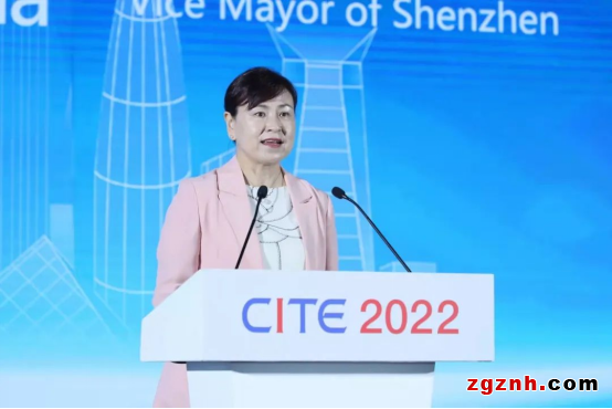 &ldquo;十年磨一劍&rdquo;，第十屆中國電子信息博覽會(huì)盛大開幕