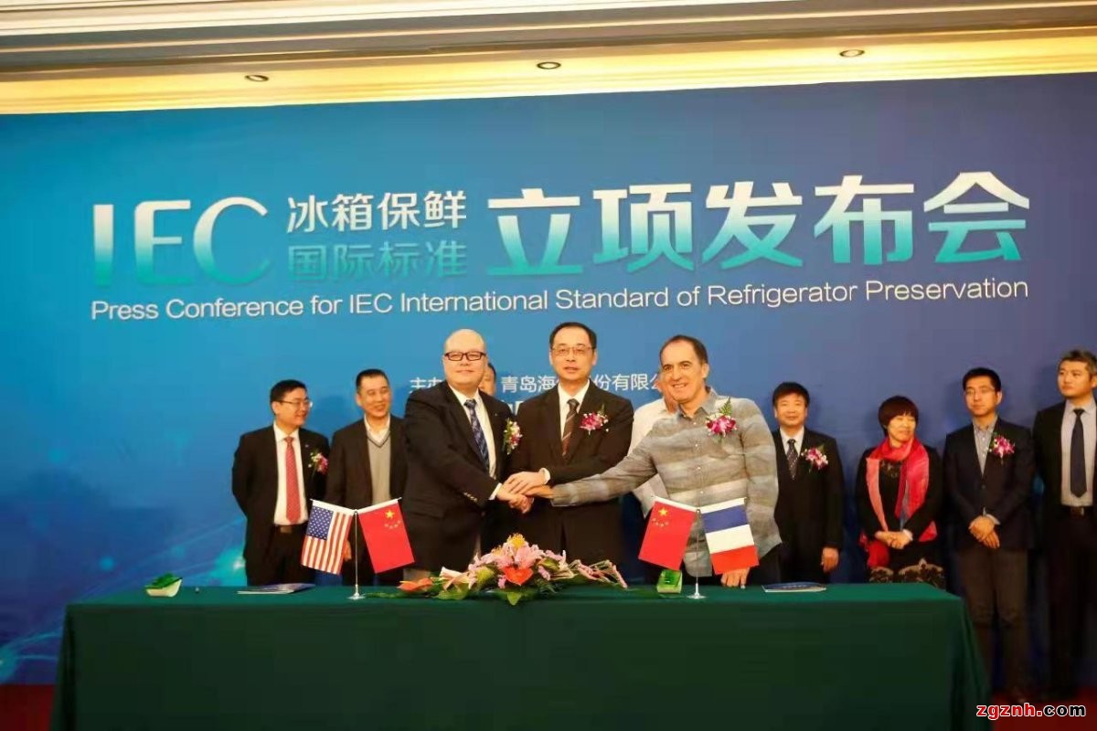 揚(yáng)起國際標(biāo)準(zhǔn)的&ldquo;帆&rdquo;，中國企業(yè)出海乘風(fēng)破浪