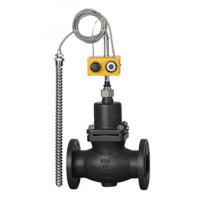 江蘇禾磊ZZWP-16B自力式溫度調(diào)節(jié)閥