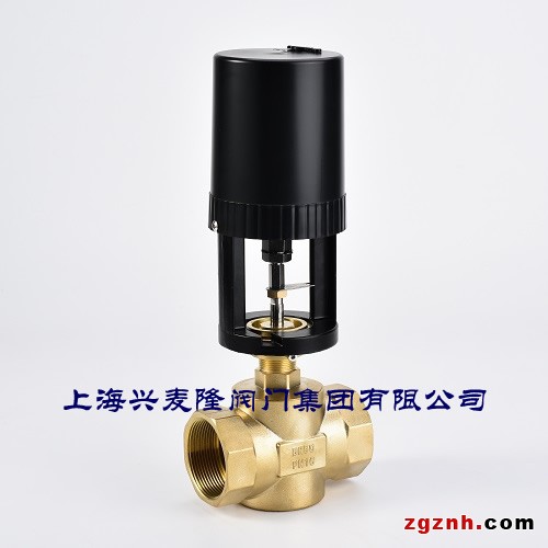 500-ET7200比例積分電動調(diào)節(jié)閥1-水印